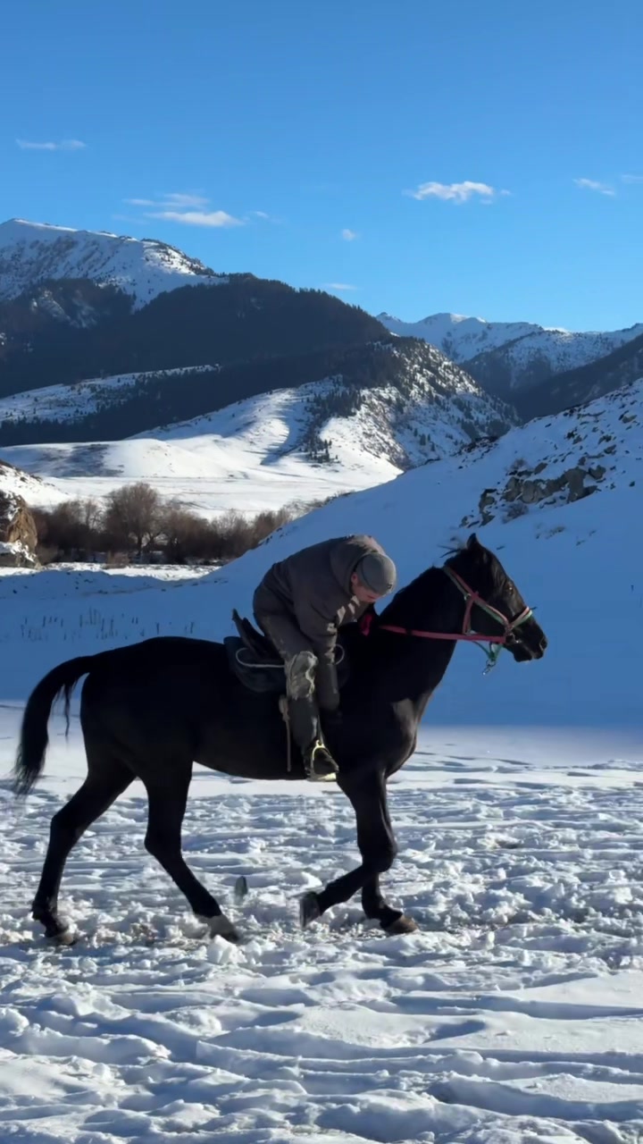 @Alimbekov Zhiger Nussipkhanuly