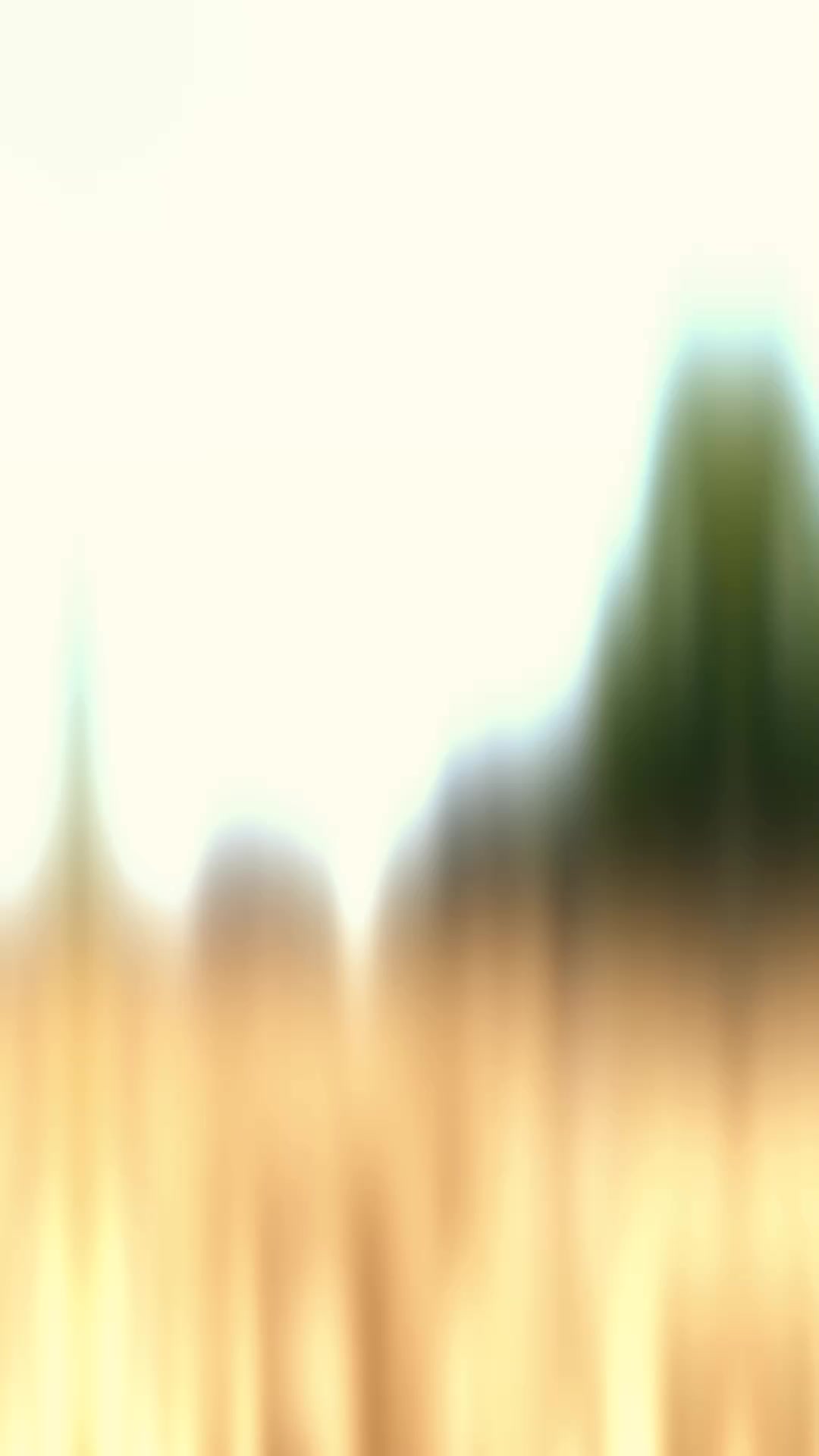 @𓆩𝙎𝘼𝘼𝘿𓆪