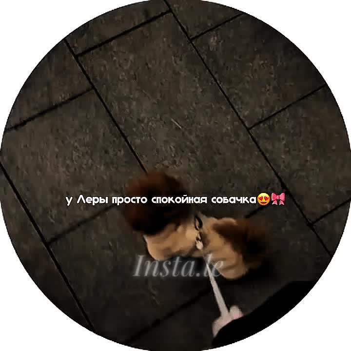 @𝓘𝓷𝓼𝓽𝓪.𝓵𝓮