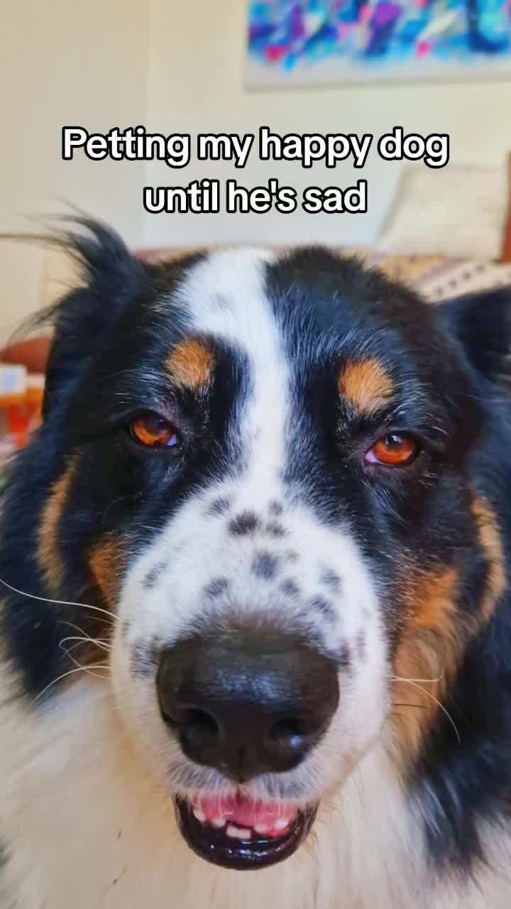 @Lofi the Aussie