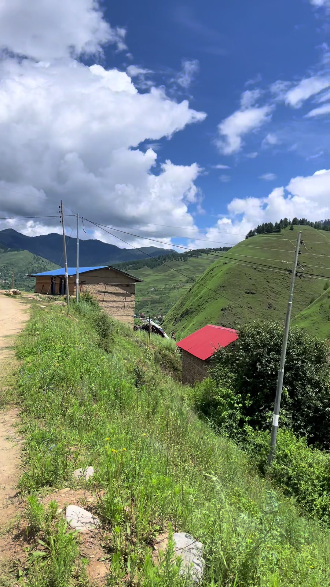 @Maya Bhattarai