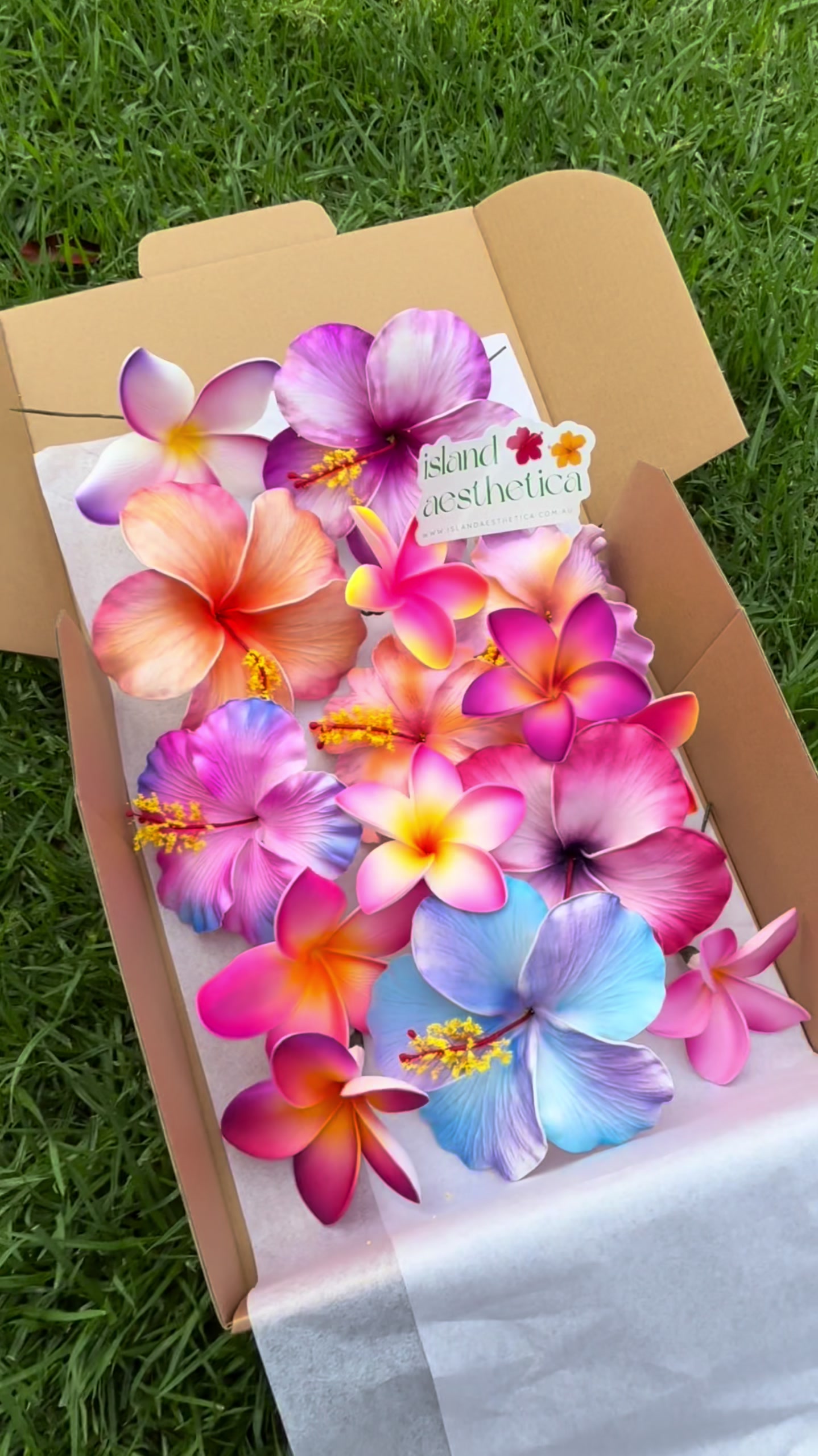 @Island Aesthetica 🌺 Pasifika
