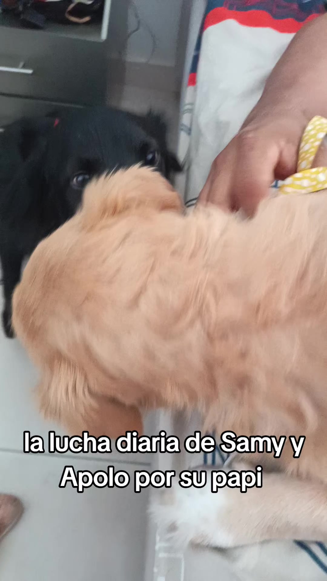 @Chela Ramirez