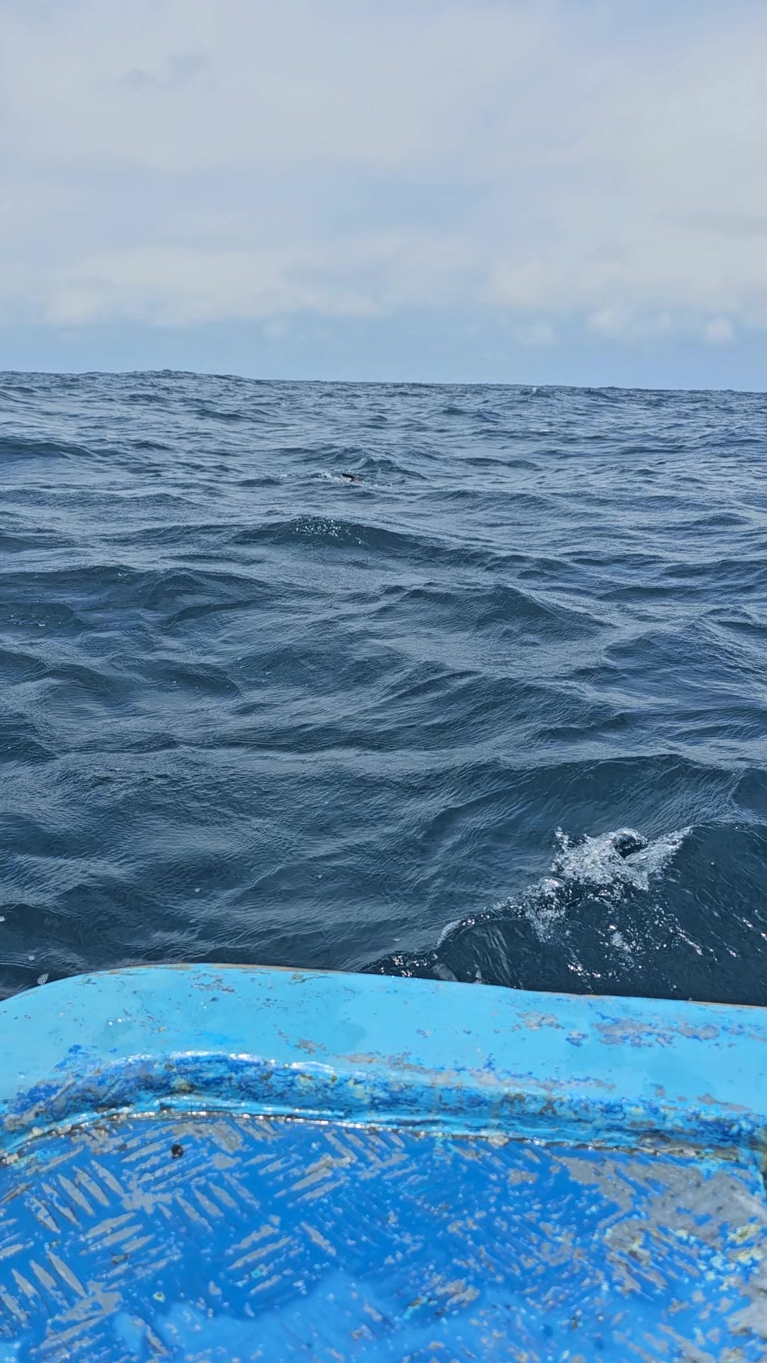 @Chasse Sous-Marine Bénin
