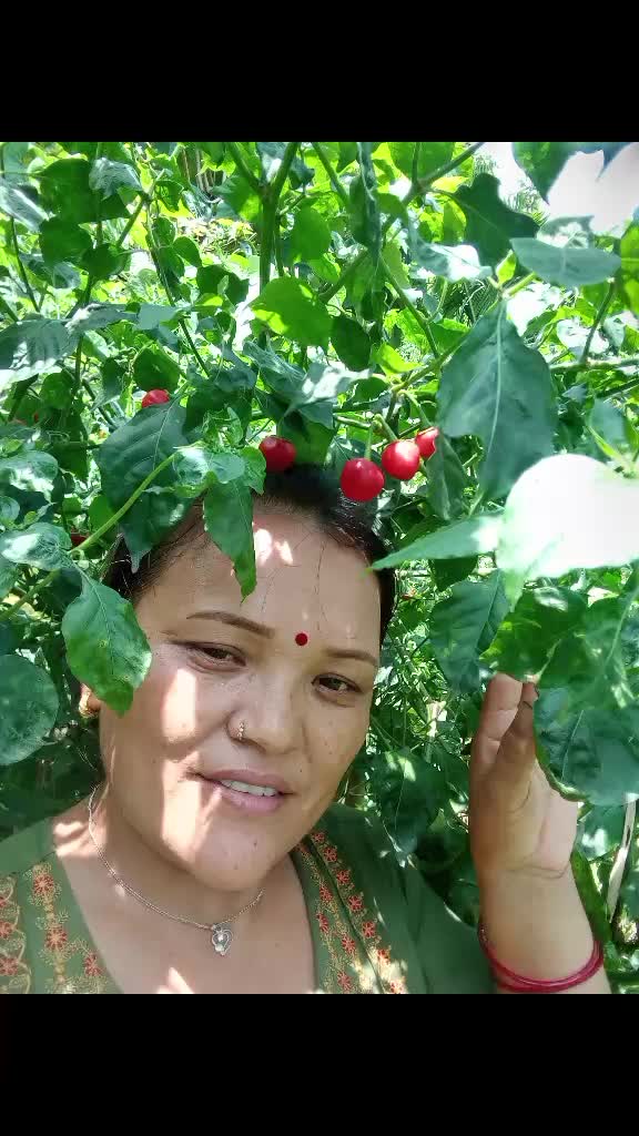 @Aruna bhujel