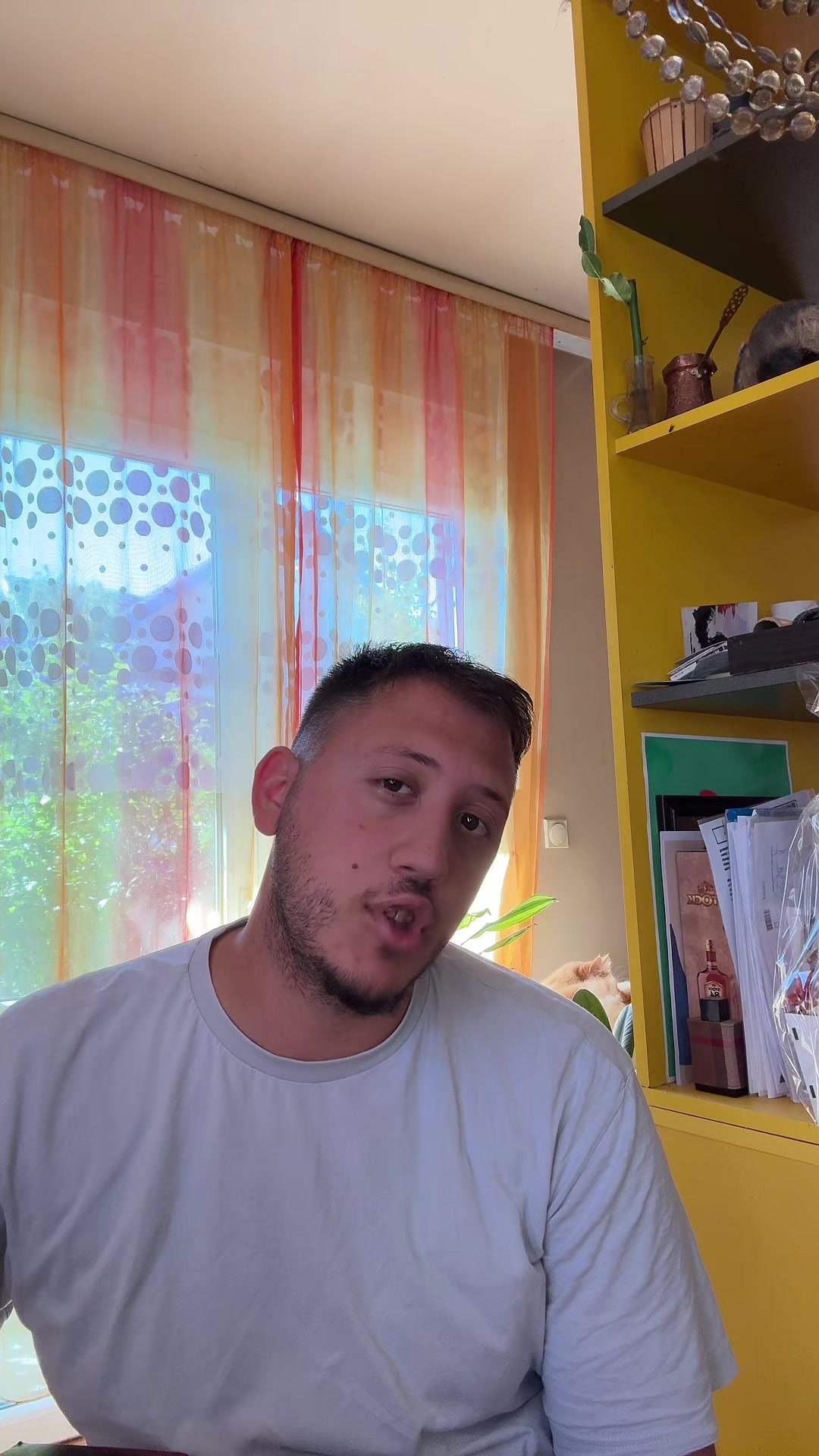 @mihajlovasiljevic
