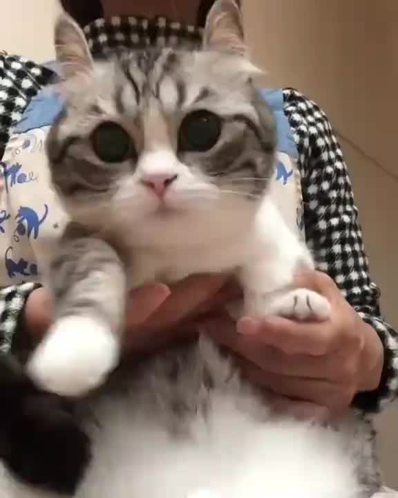 @KomaruSalt_AB