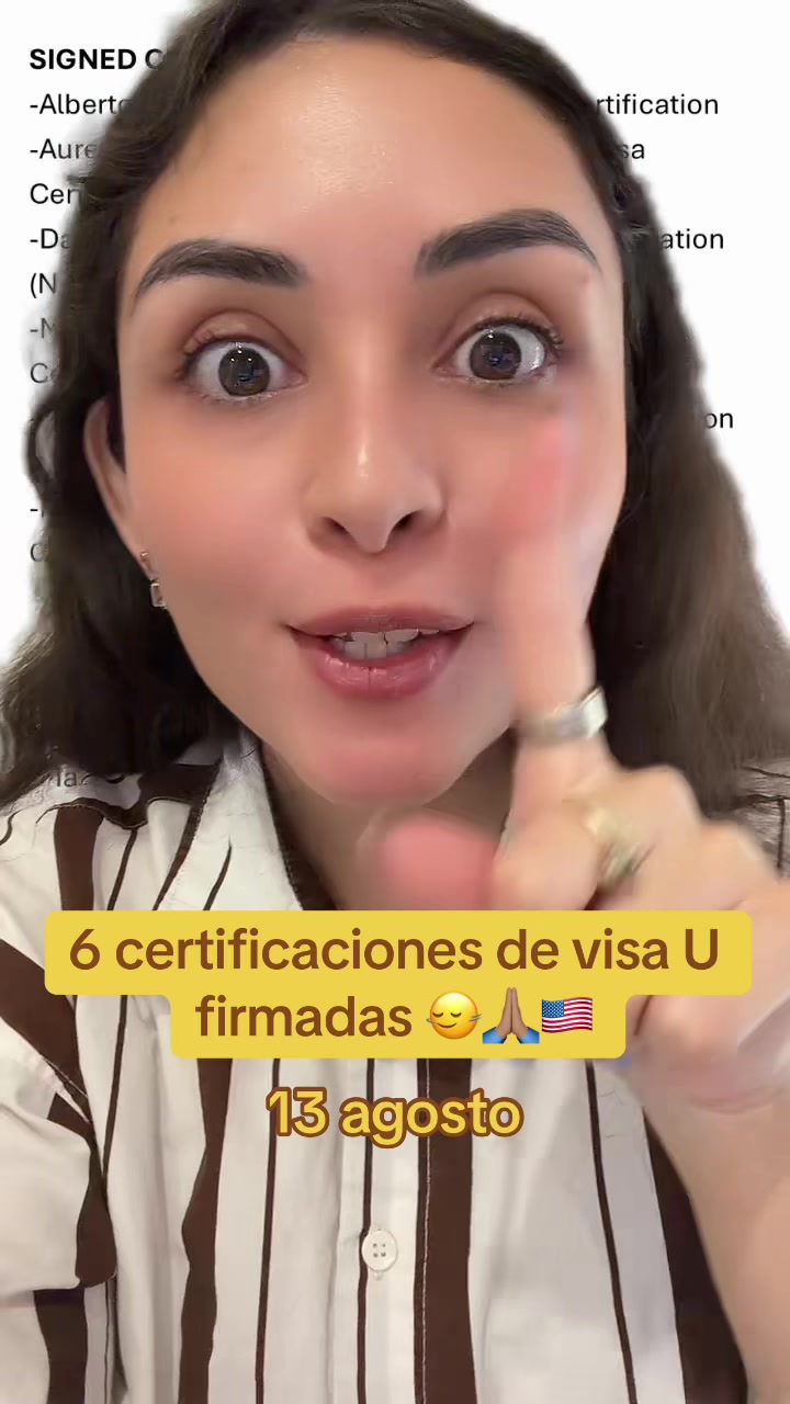 @dienerlawabogados