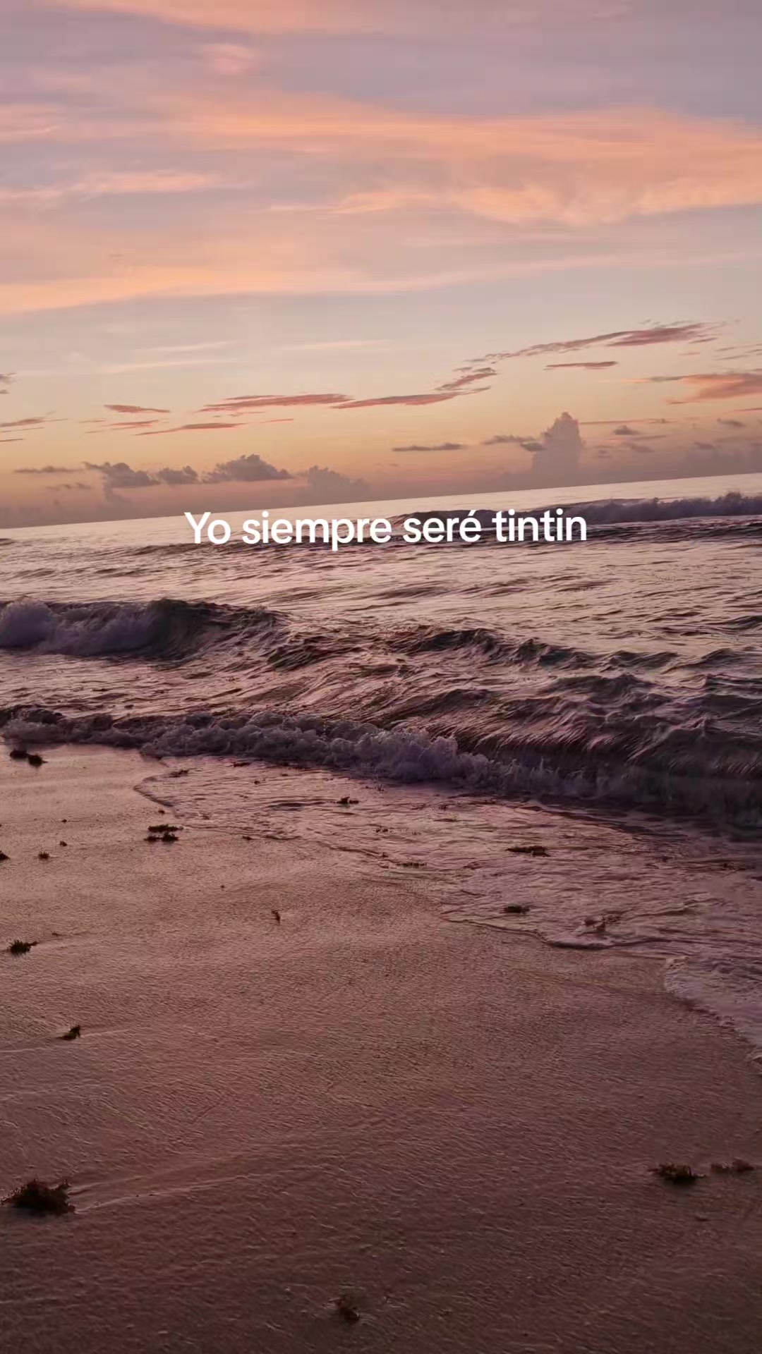 @jodissss