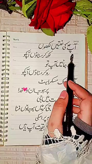 @SalmanSaeed125
