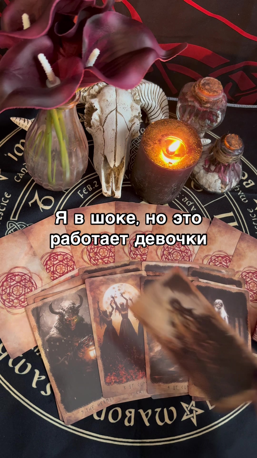 @Oksi_fox