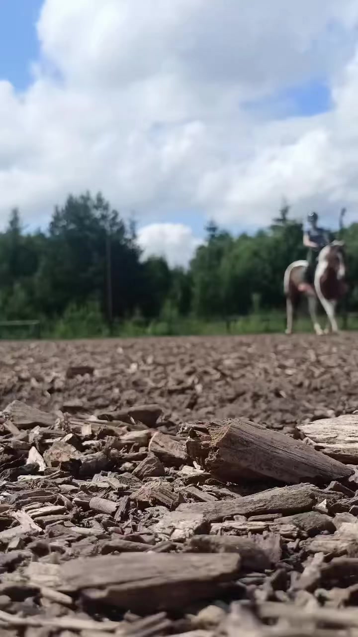 @Ли🐴