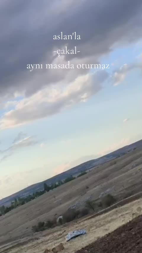 @43.enes_yldrm_