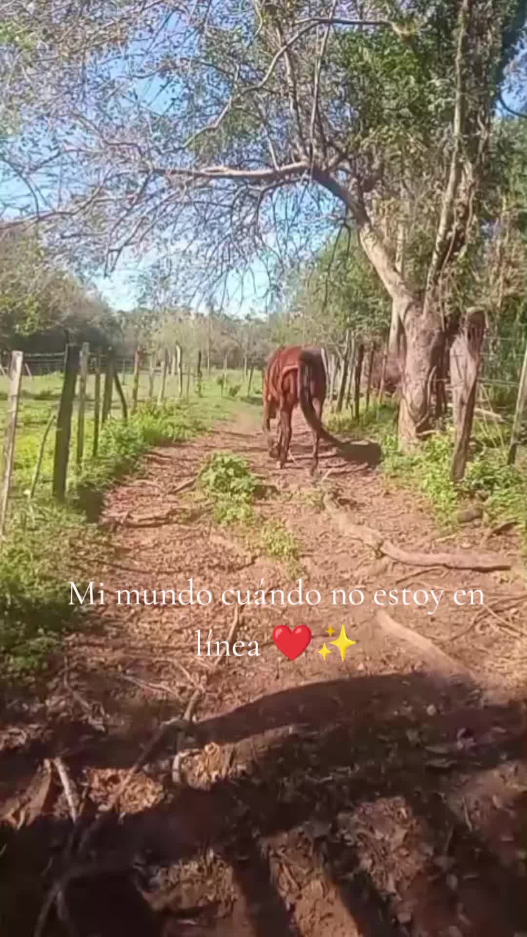 @Deisy💜