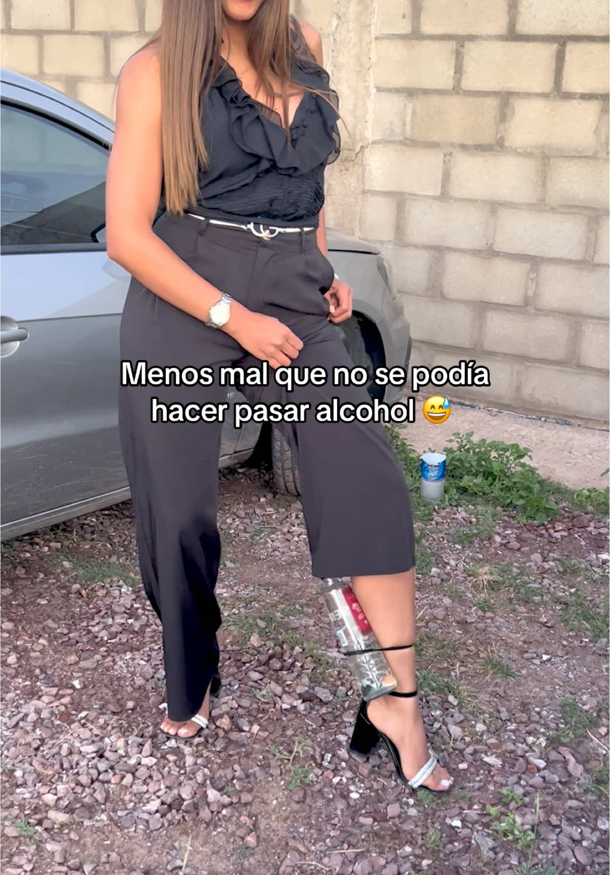 @Iara Alegre