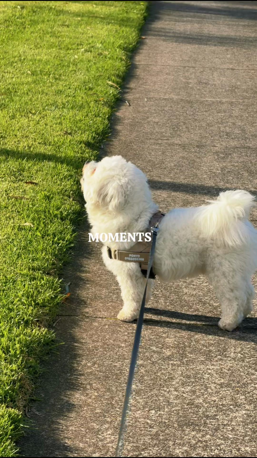 @𝐅𝐥𝐨𝐫𝐚 𝐅𝐥𝐨𝐫𝐚𝐥