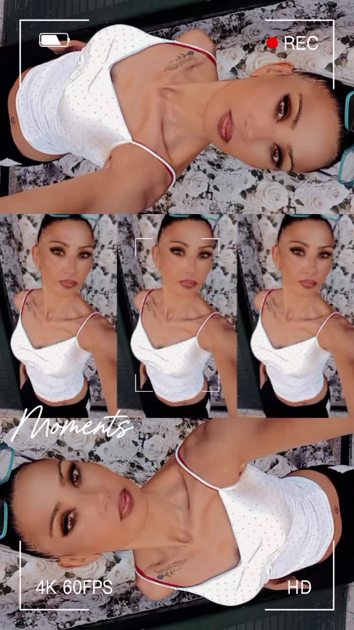 @stelladisilvio53