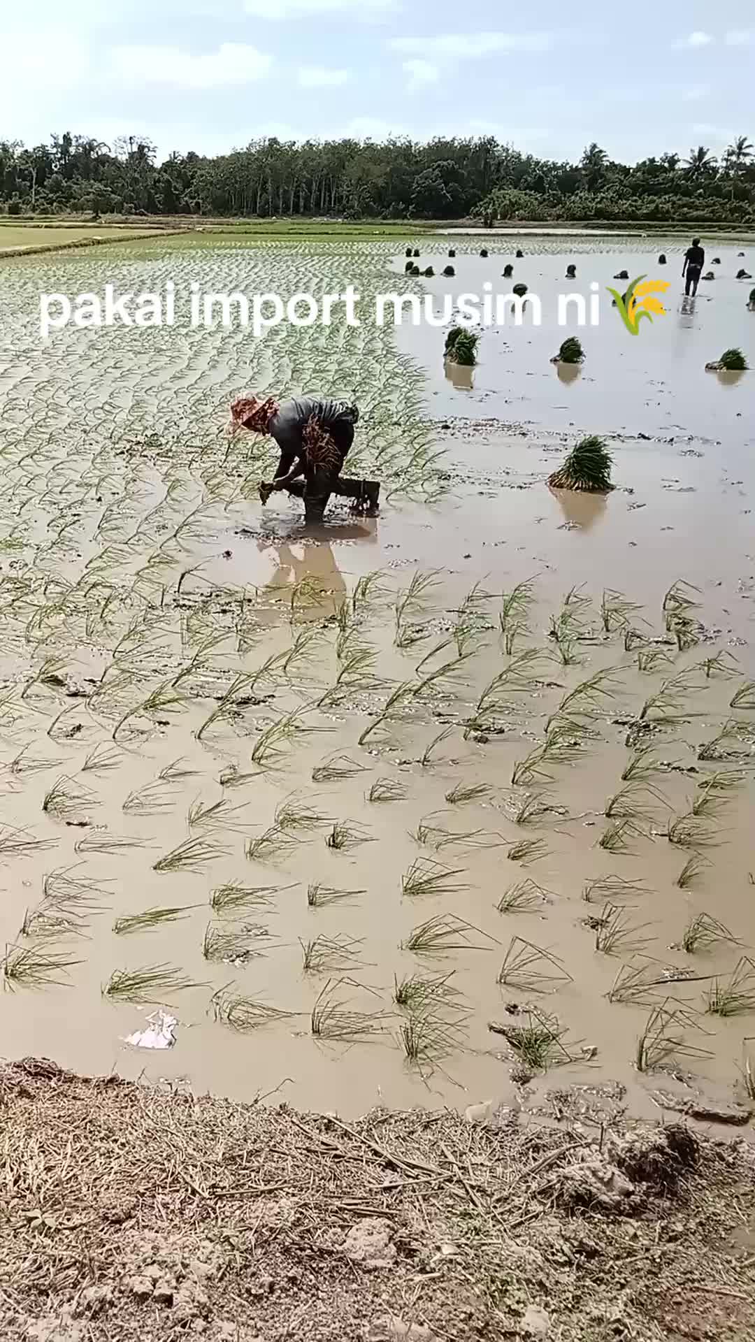 @Amirul Zahari6