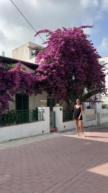 @alex_konstanta