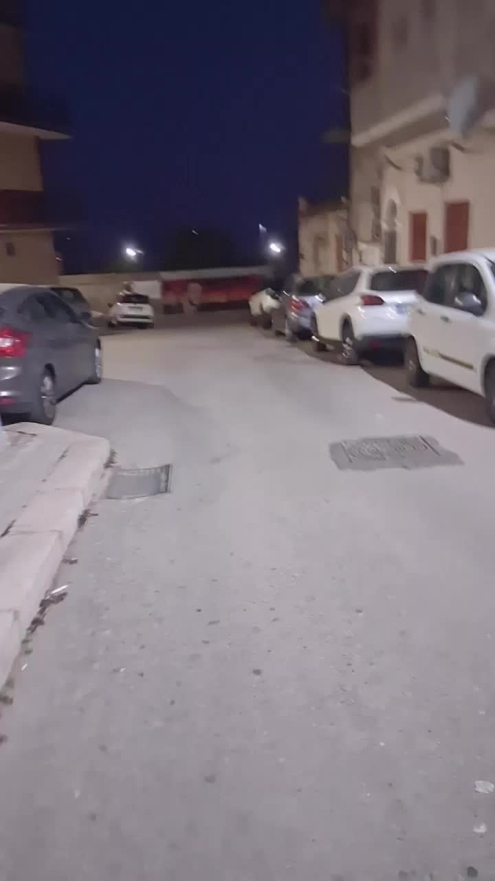 @Angelo Rinzivillo