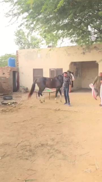 @Rehan Mughal