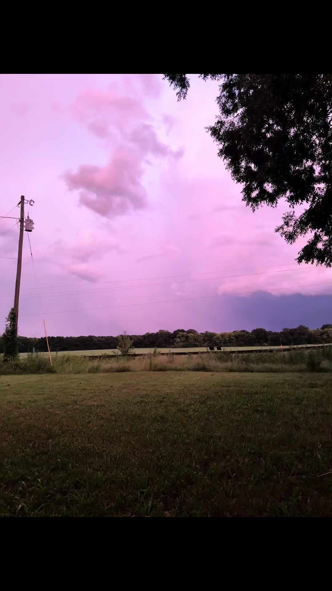 @The Accidental Farm