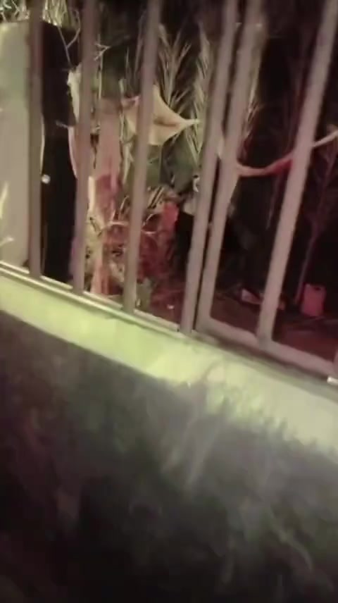 @Hifazat_110