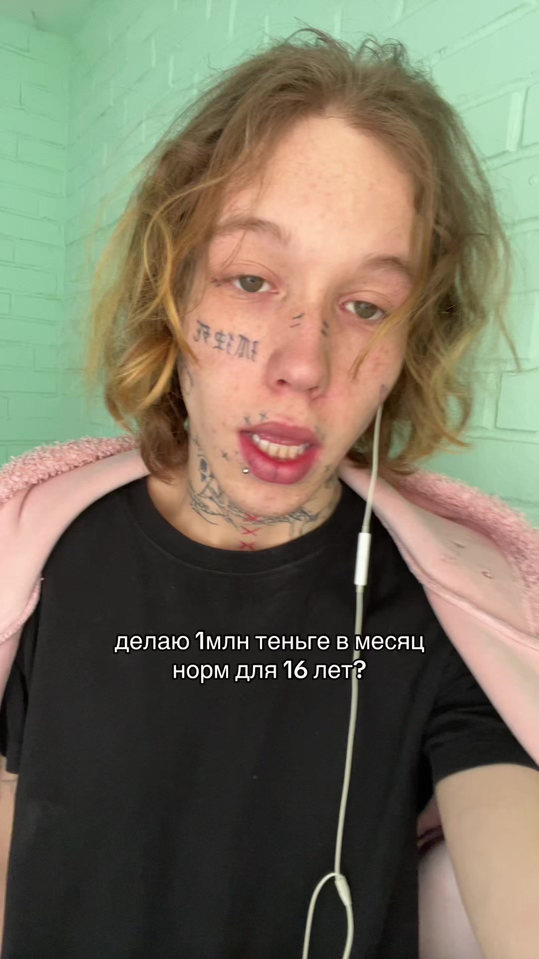 @впис за мяу скинусь на мяу мск