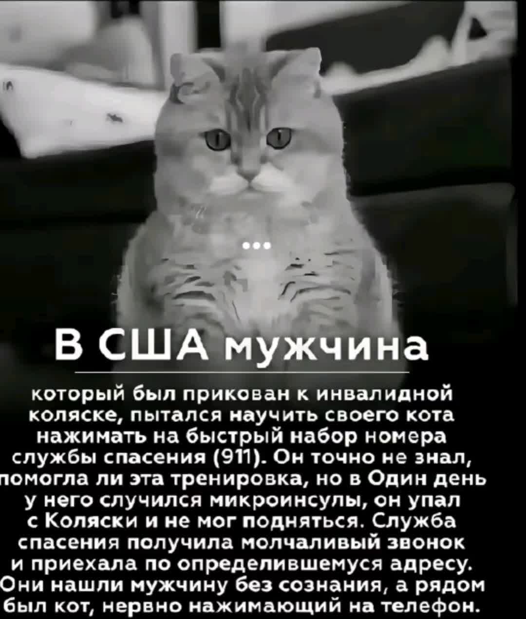 @techi