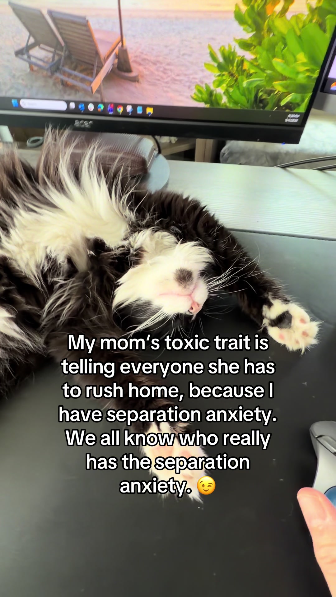 @🐾 Tracy & Katie 🐾
