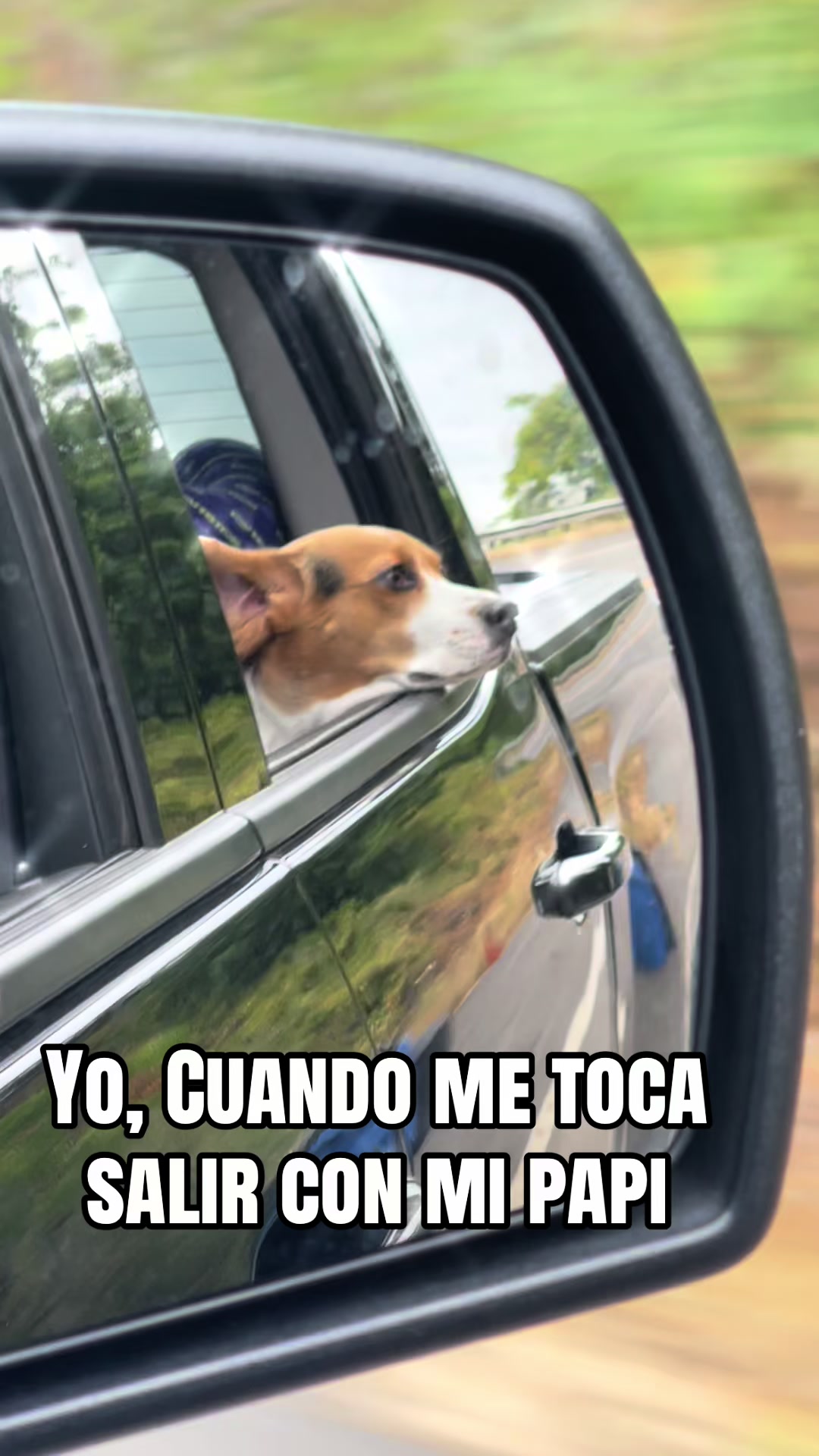 @Bellamoon