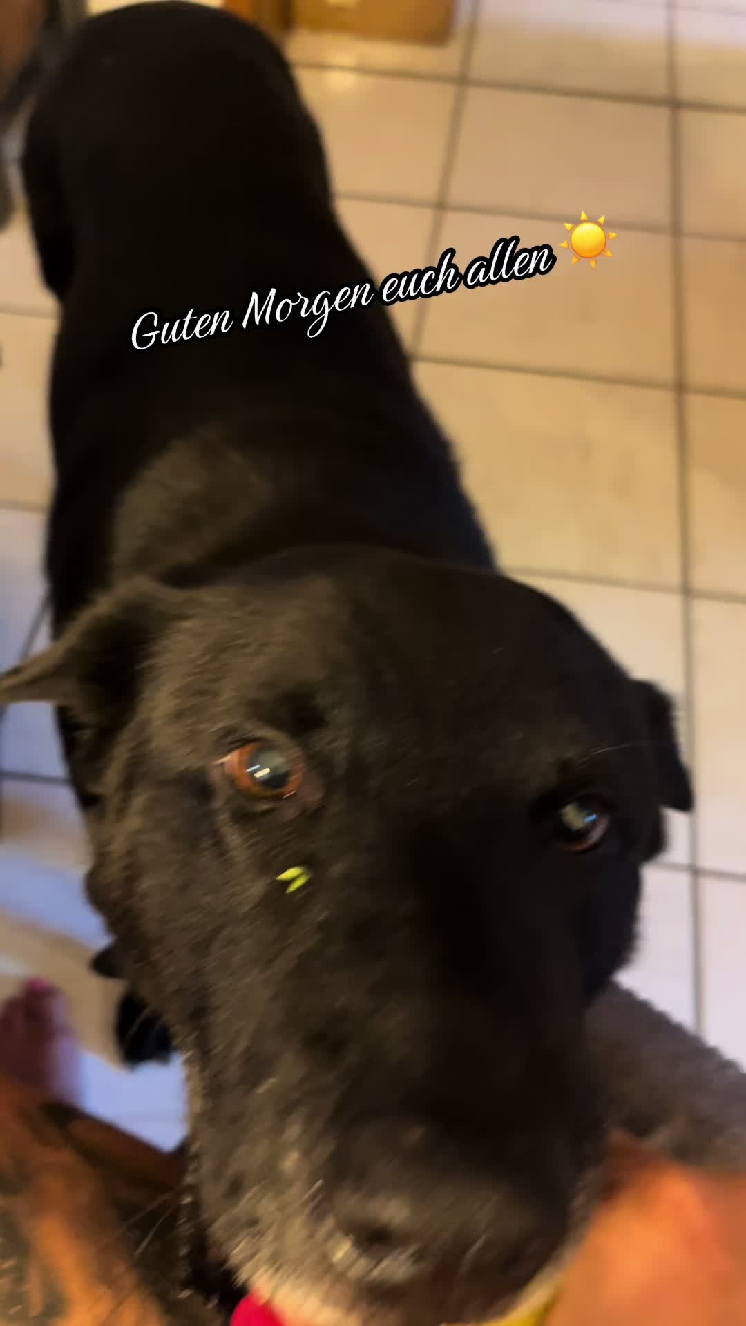 @mi.vida.loca067