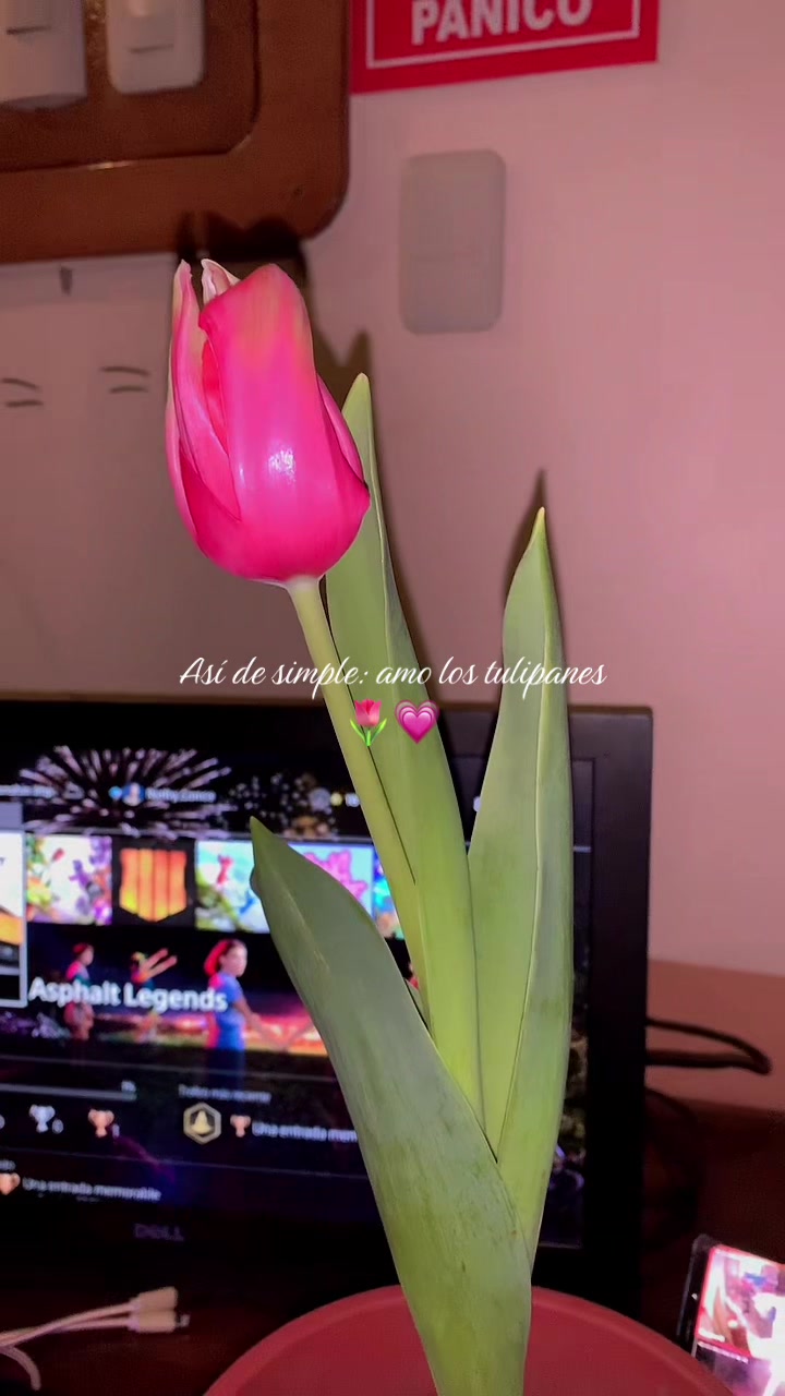 @𝓝𝓪𝓽𝓱𝓪𝓵𝔂 🎀