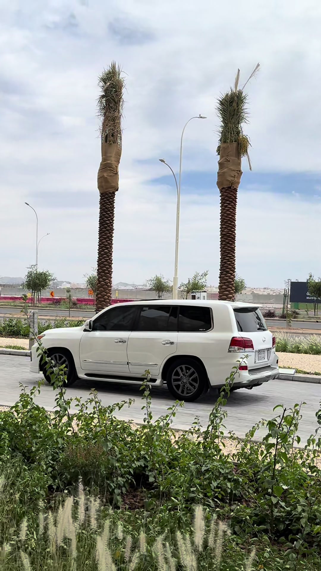 @Khalil albalawi