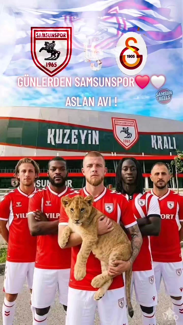 @🇹🇷🦈 Yavuz Ayık