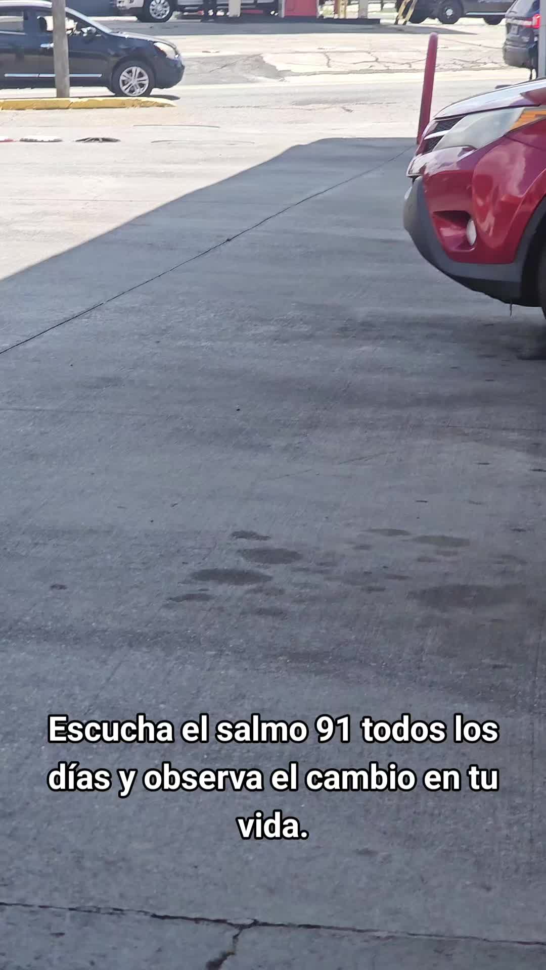 @luisjuarez691