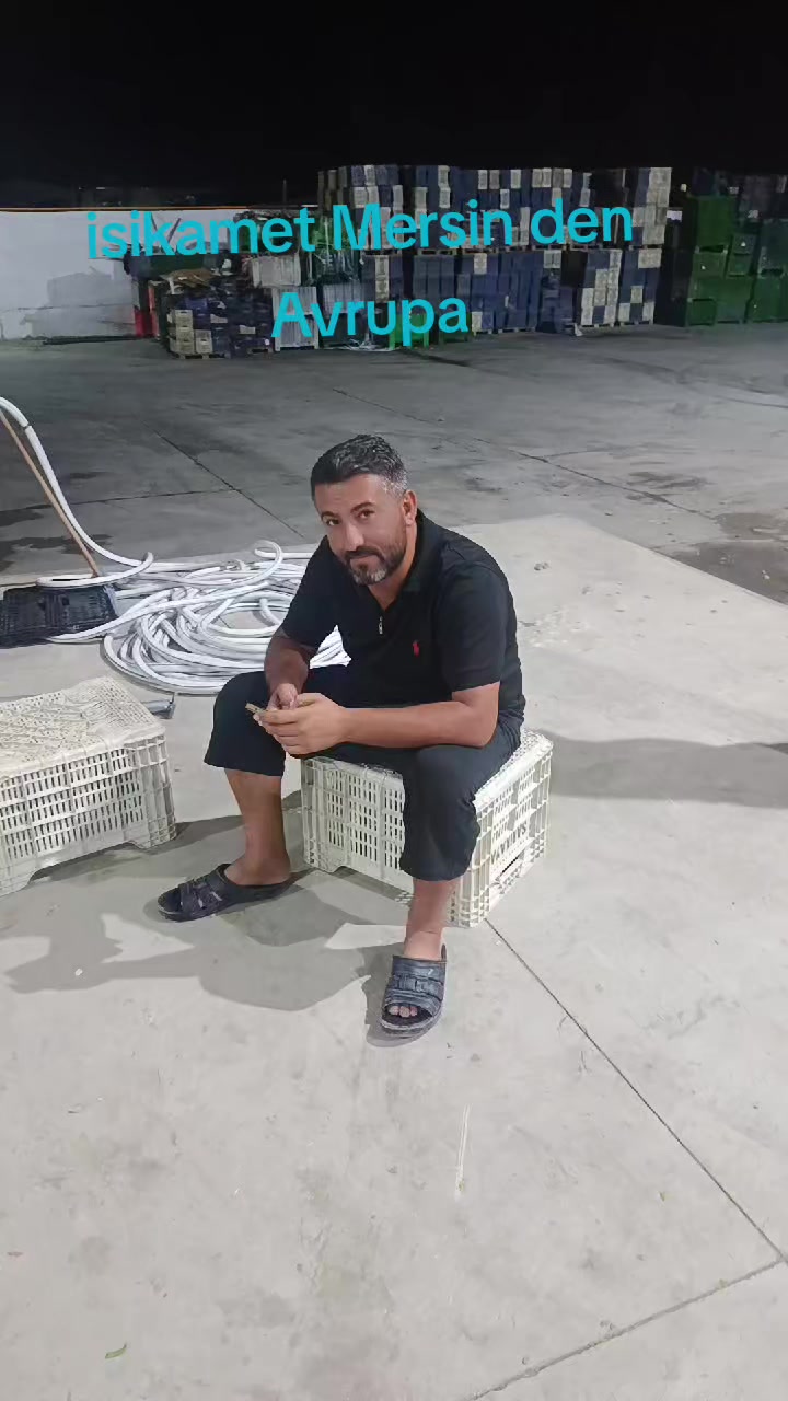 @veli . . . . . .73