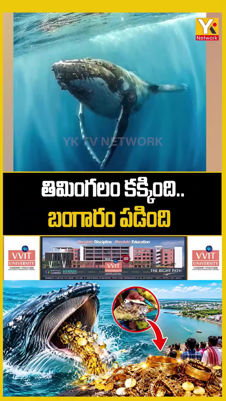 @జి శ్రీనివాసరావు పాలకొల్లు