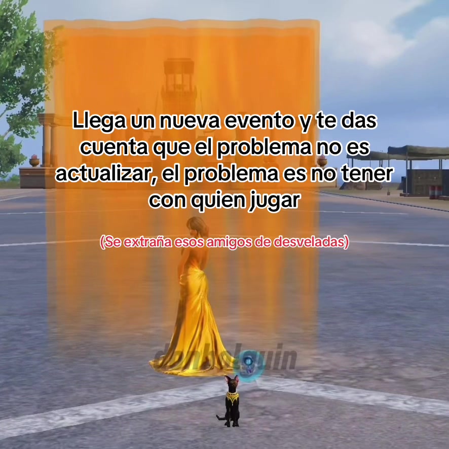 @donholguin