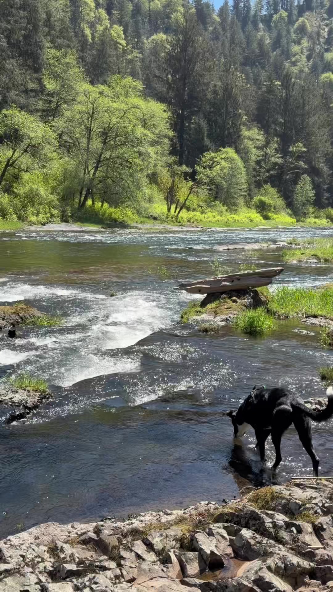 @oregonskyveek
