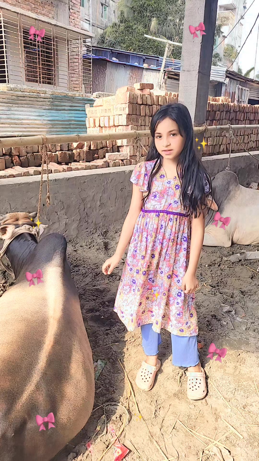 @Mihira Rahman