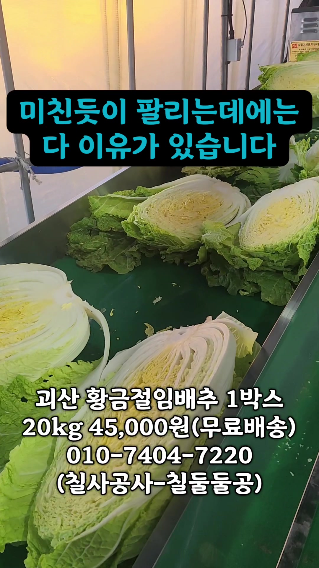 @한입의행복