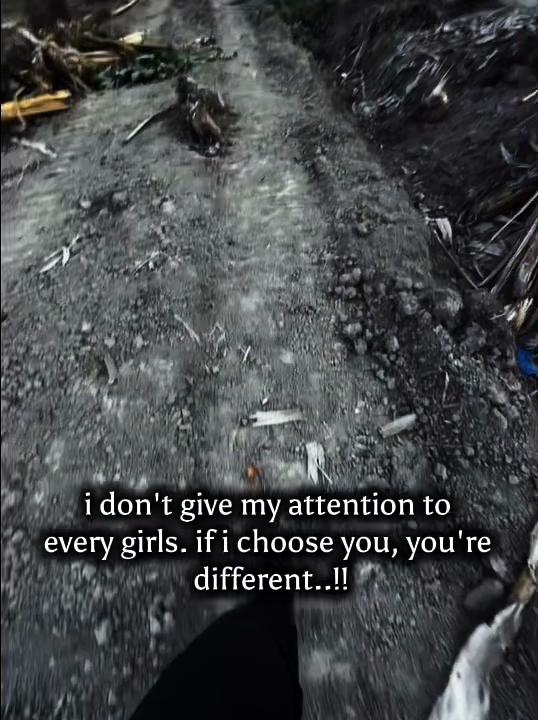 @oa na surveyor