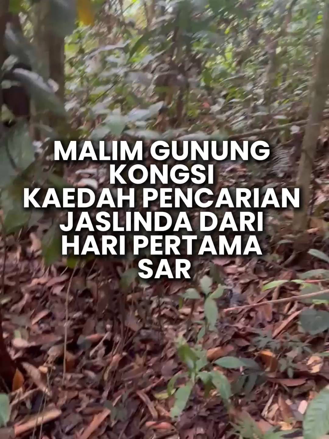 @Sinar Harian