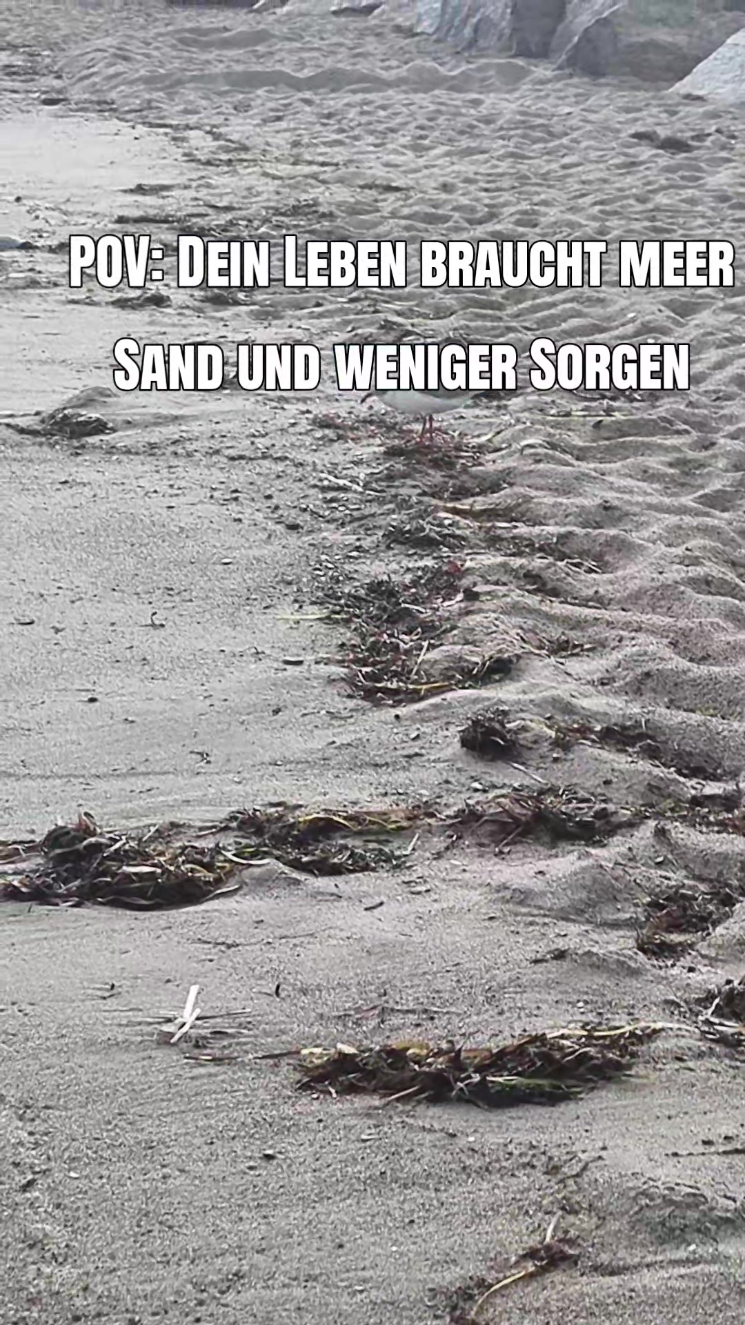 @💙⚓ Einfach🔴⚪️ nur Sandy💙⚓