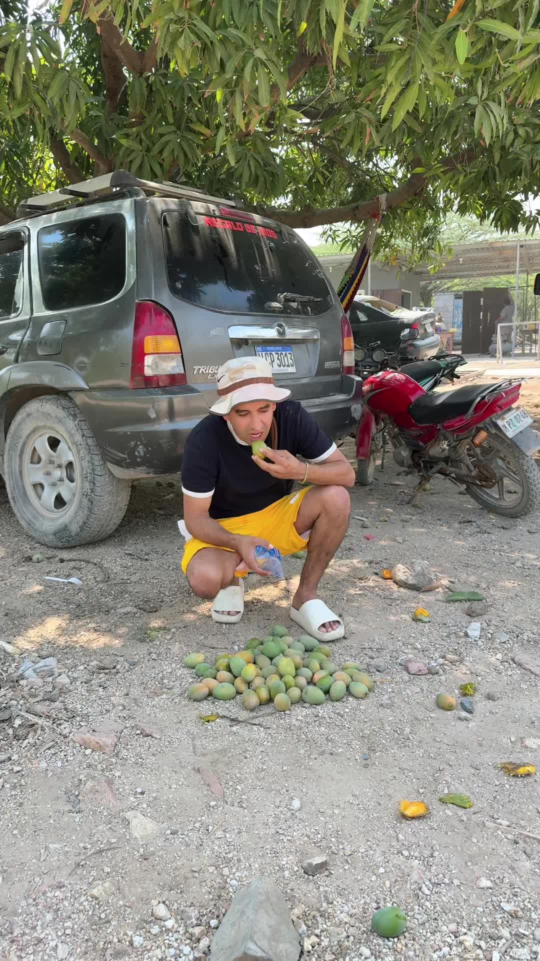 @Wilson PatePluma 🪶🪶🪶🪶🪶