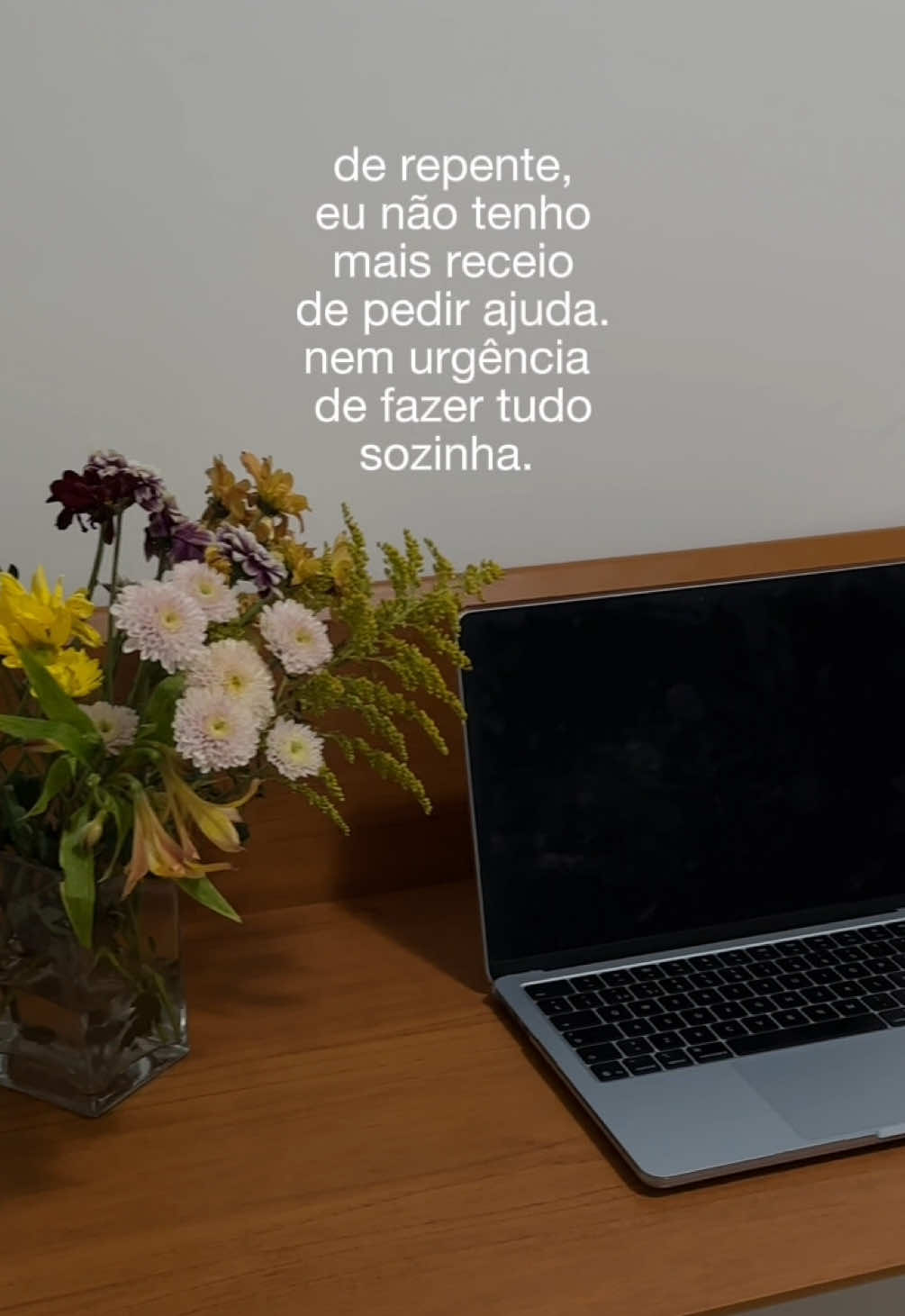 @vikki brusco