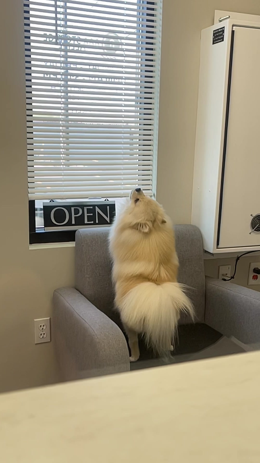 @beingmilothepom