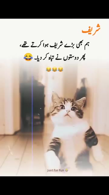 @ranja g 502