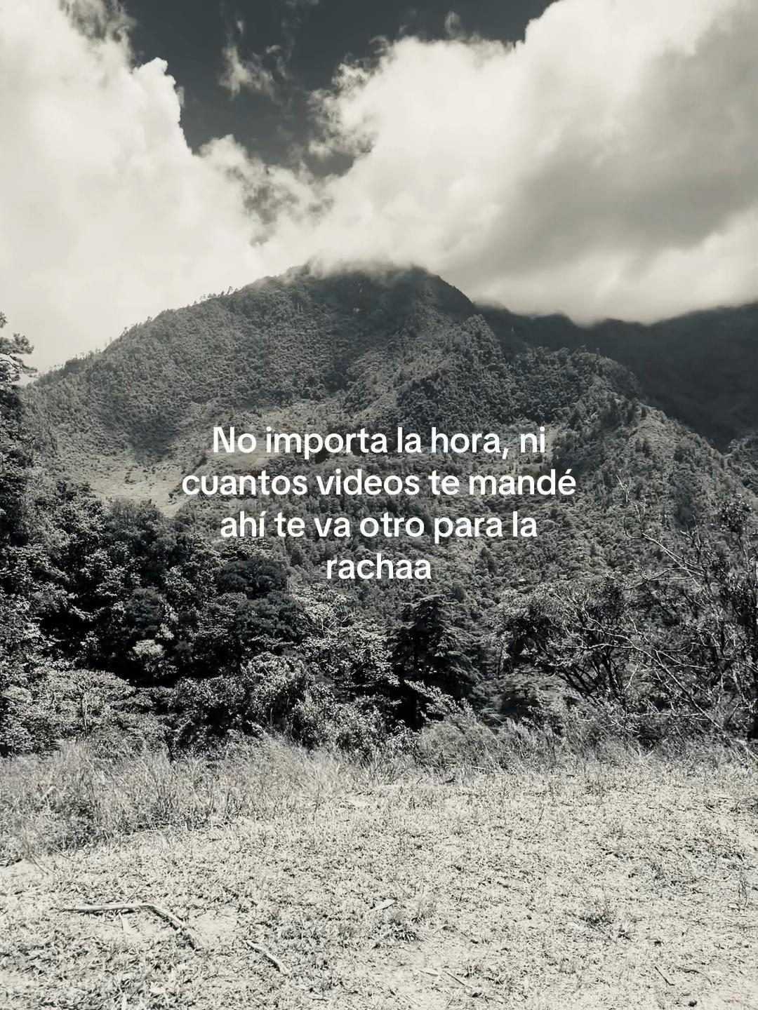 @larachaa13
